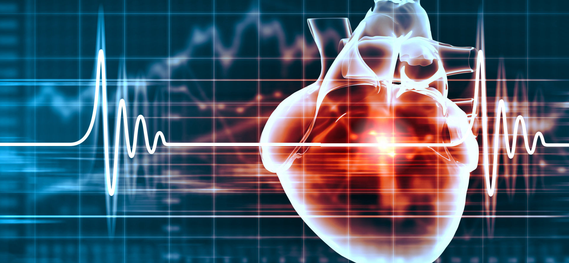 visual presentation of a beating heart